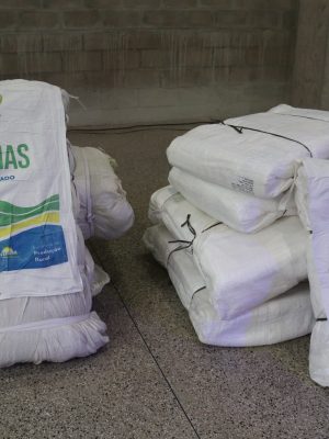 A Agência de Desenvolvimento Sustentável do Amazonas (ADS), por meio do Programa de Doação Onerosa do Governo do Estado, abriu inscrições para que produtores rurais obtenham embalagens do tipo ráfia com subsídio de até 80%. A iniciativa busca apoiar pequenos agricultores na armazenagem e transporte de alimentos regionais, fortalecendo a produção rural no estado.