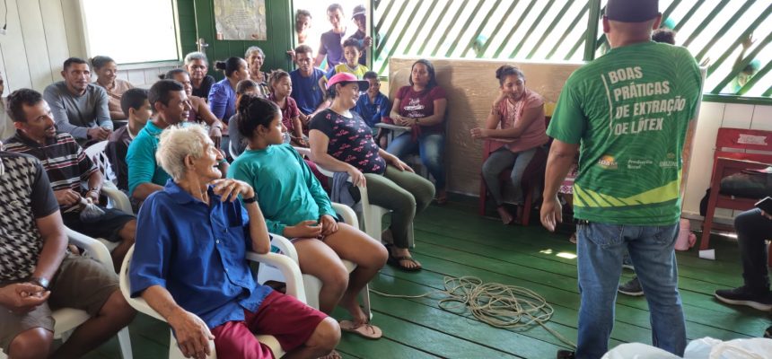 Em Canutama (619 quilômetros distante de Manaus), extrativistas participaram do curso de Boas Práticas na Extração dos Látex e Boas Práticas na Extração de Óleos. Uma iniciativa do Instituto de Desenvolvimento Agropecuário e Florestal Sustentável do Estado do Amazonas (Idam), a capacitação teve como público-alvo trabalhadores das comunidades Glória, Forte de Veneza, Moará e Glória Barranco, bem como da sede do município.